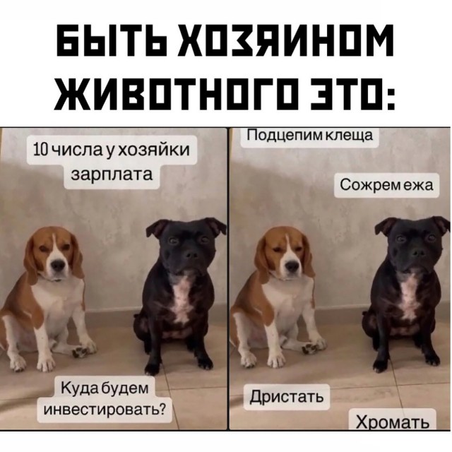 Подборка очень и не очень