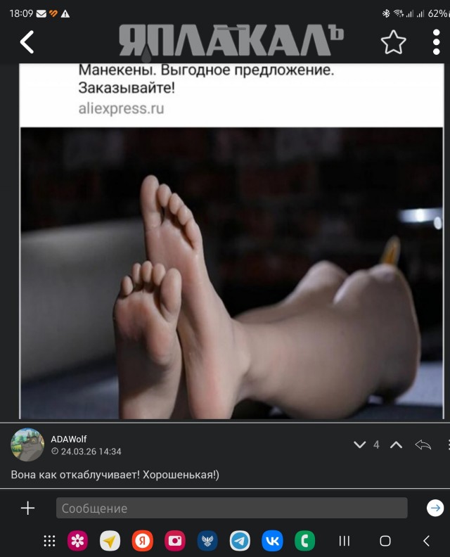 Блюграсс