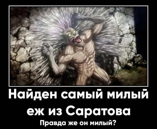 Картинки для деградации 209 (разной степени свежести)