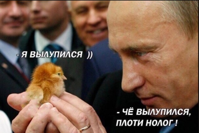 Вот такая небесная грация