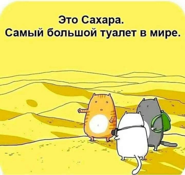 Пустыня Намиб - место, где «нет ничего»