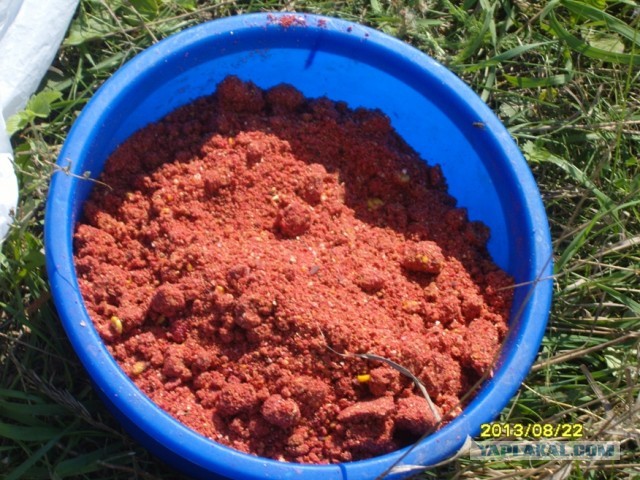 Поехали за грибами, приехали с карасями.