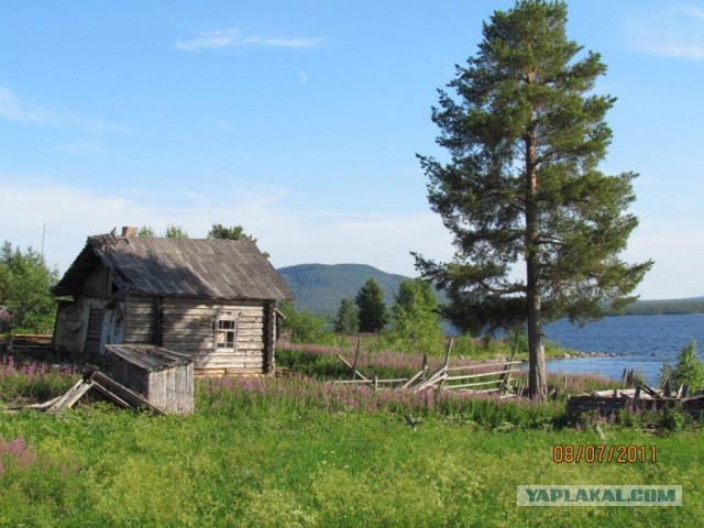 Осень или удачный ракурс.