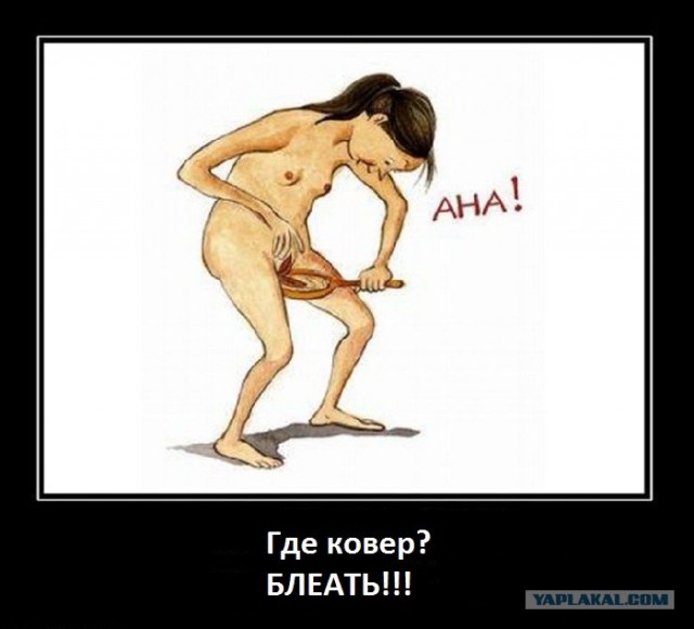 Ковры в соц-сетях