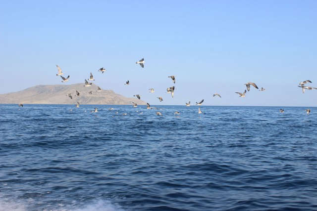 Отчёт о поездке в Крым 12.07 - 29.07