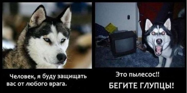 Поднимаем настроение