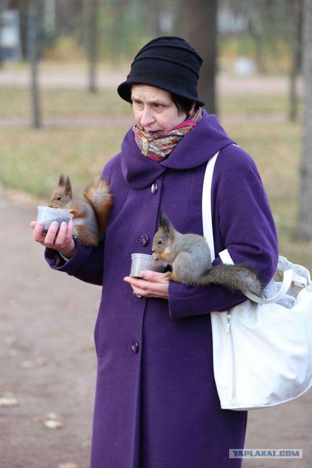 На улице своего города.