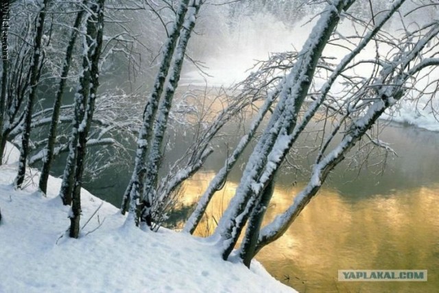 Ледяная зима