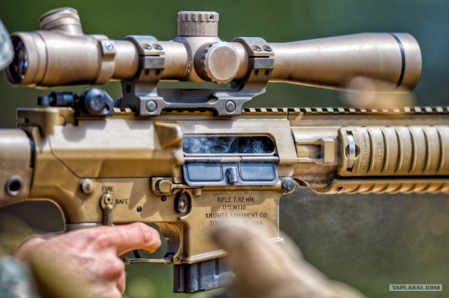 Лучший новогодний подарок для американца