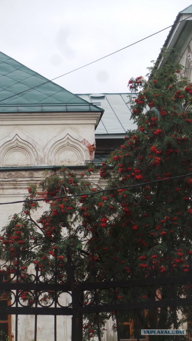 Жизнь за МКАДом: добро пожаловать в Ярославль