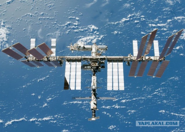 15 любопытных фактов