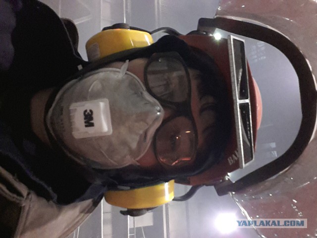 Трудовой народ в лицах