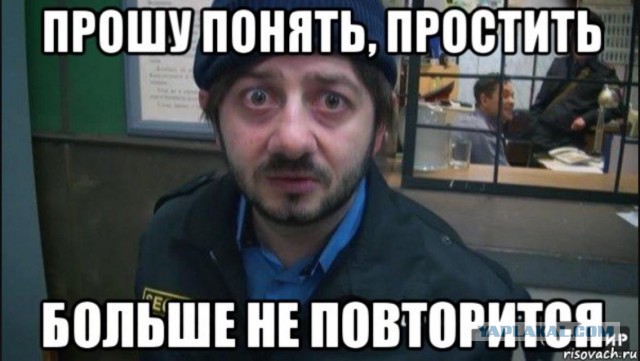 Лиса застукали в курятнике