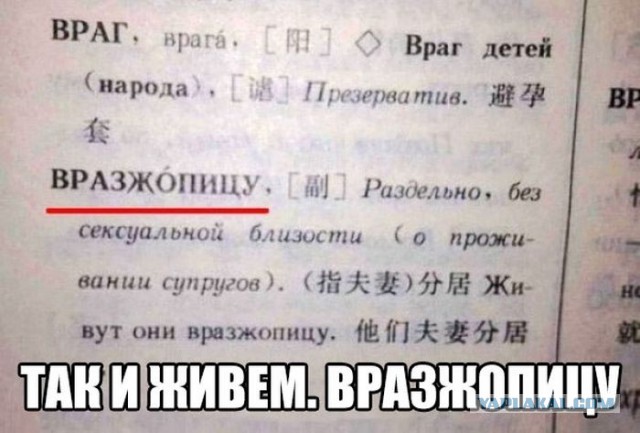 Подборка картинок и демотиваторов
