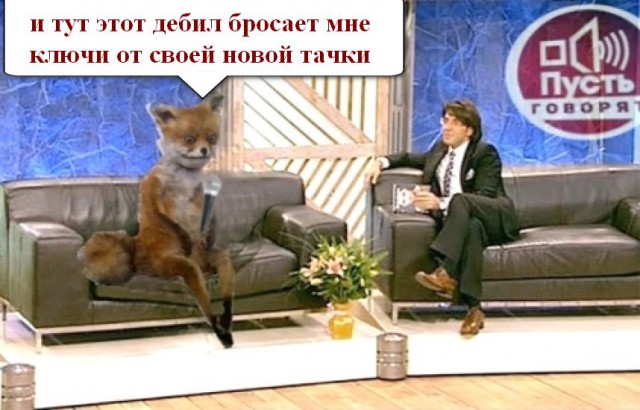 Идиот и лиса...