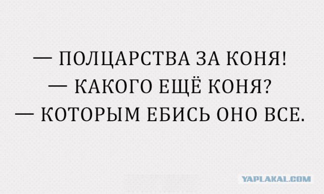 Смешные комментарии из социальных сетей 23.12.2016