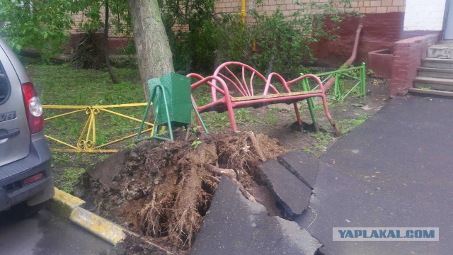 В Москве ураган!