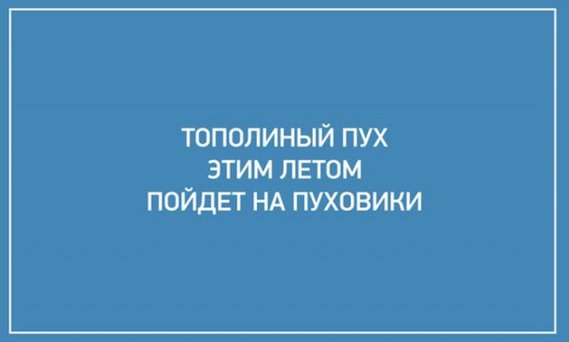 Смешные картинки