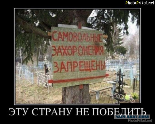 Адовая смесь чернушных картинок на вторник