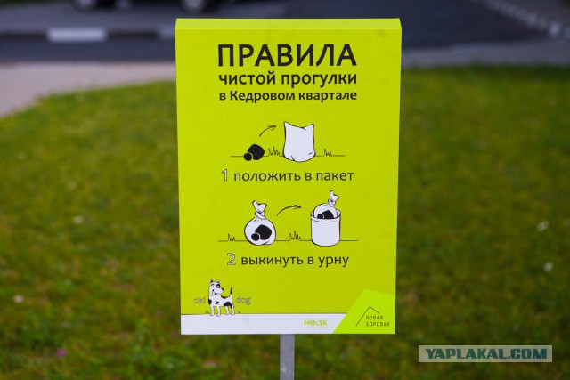 Практическое руководство по уборке за домашними собаками в уличных условиях.
