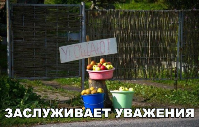 Нестандартный юмор