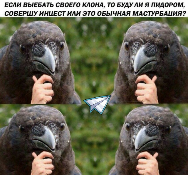 Немного странного юмора на вечер