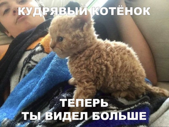 Немного милоты