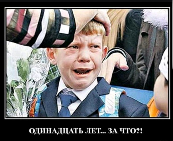 Анекдоты, соц-сети и картинки с надписями