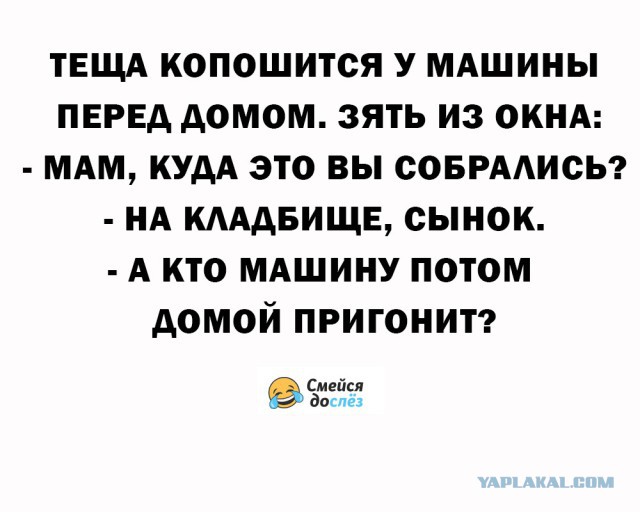 Картинки из этих ваших интернетов!