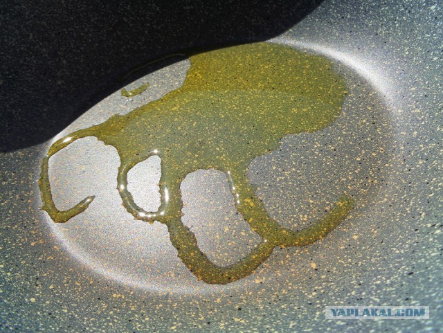 Сыр, груши и классовая ненависть