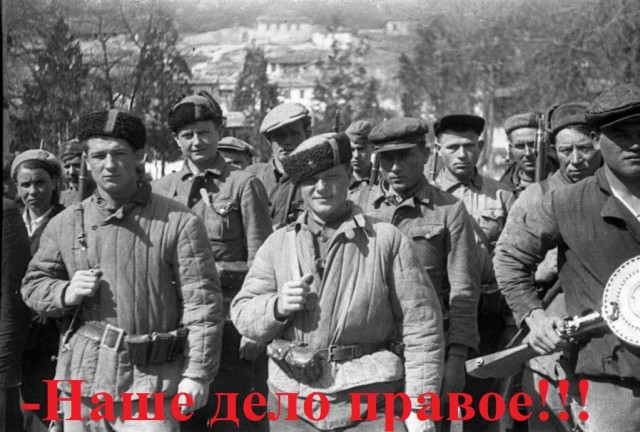 Около 13 комплексов фотовидефиксации сожгли в Раменском
