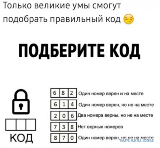 Чуток картинок 20.02.20.