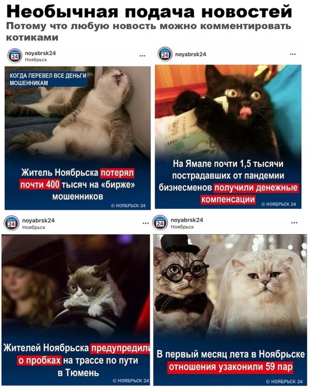 Так себе картинки 04.07.20