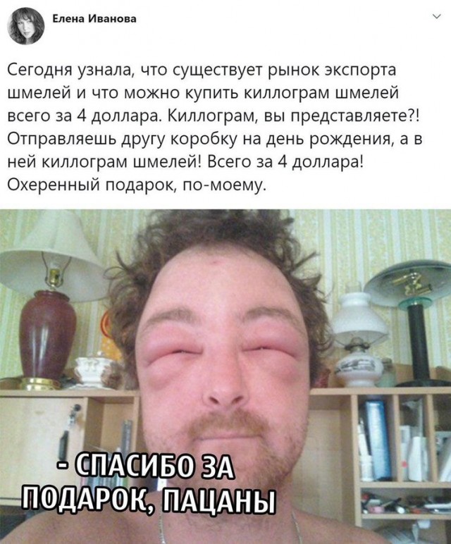 Бредзона 03.08.2020
