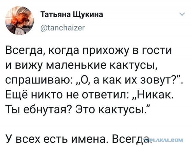 Забавные шутки, картинки и фразы из этих ваших интернетов