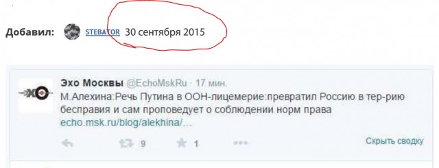 Фотки и картинки: юморные и красивые, забавные и милые 03.10.20