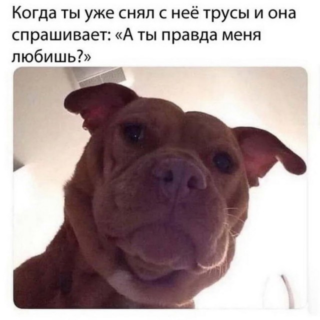 Лаф