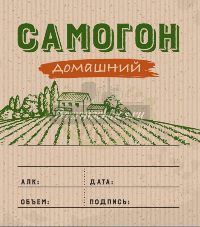 Запрещённое в России ремесло, которое разрешено во всём мире. Почему все страны боятся, что его у нас разрешат