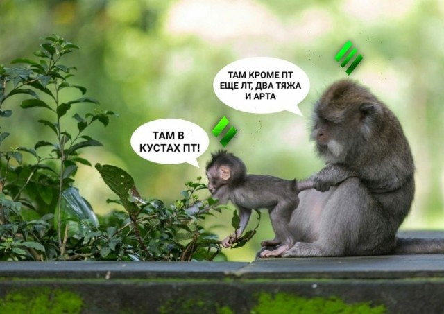 Интимная тема. Про неё