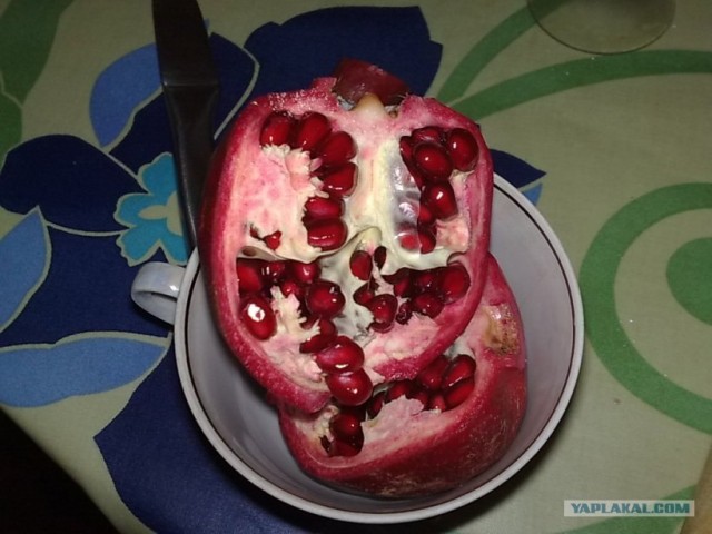 Разбитое сердце Дженибека.