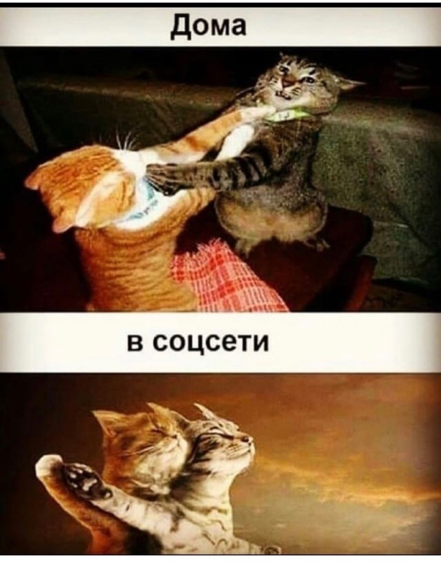 Так себе картинки 05.06.21