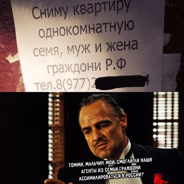 Весёлый полтишок 5.07