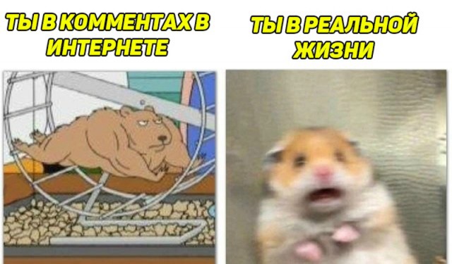 Навальный стал лауреатом немецкой премии за вклад в свободу СМИ