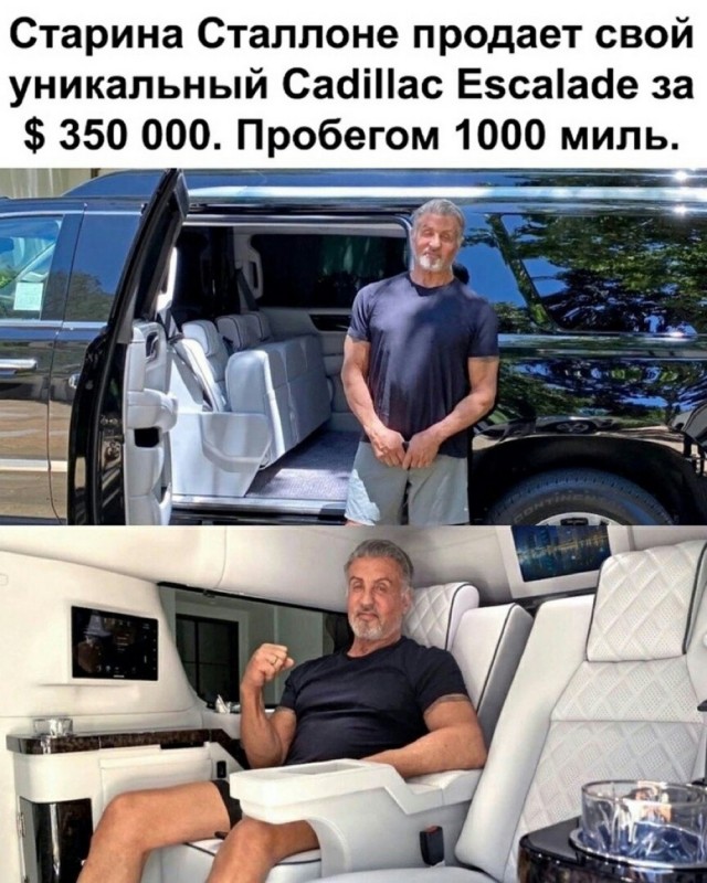 Всяческие картинки 10.12.2021