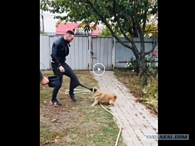 Я тебе сейчас суну ногу