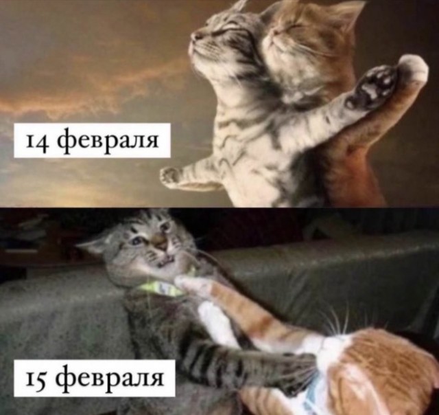 Картинки и мемы для настроения - 15