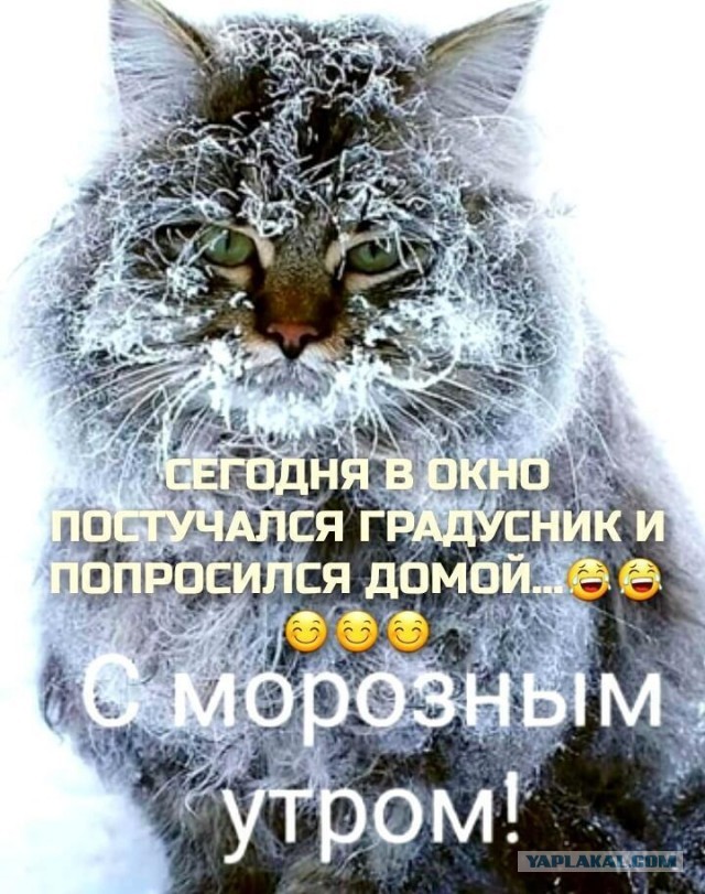 "Марток", не снимай порток