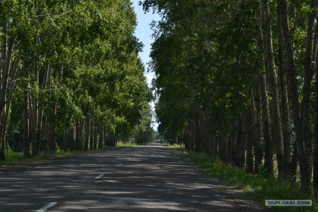 Пермь - Геленджик - Пермь. Фотоотчет