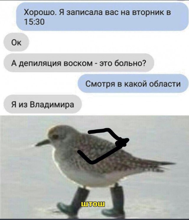 25 пикч для настроения