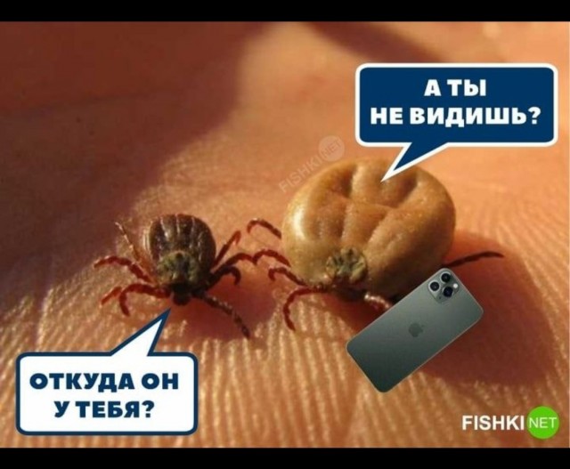 Есть ли на Япе нормальные женщины?